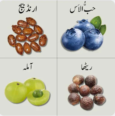 Rivaaj Organic Hair Shampoo